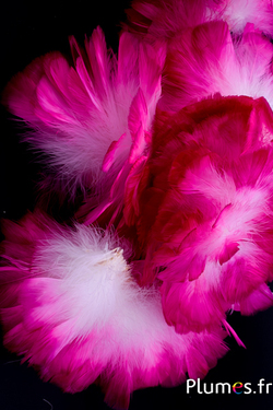 Frange dinde - long. plumes 10 cm - blanc pointe fuchsia